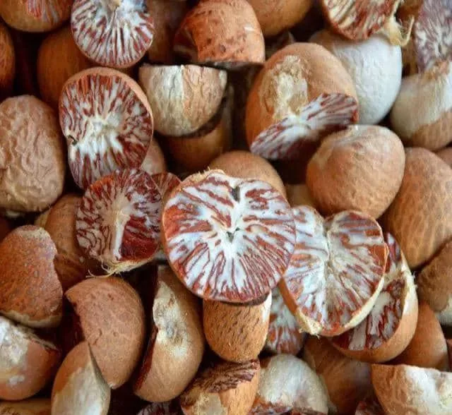 Pinang belah kering dengan serat putih-merah pada bidang belahan.